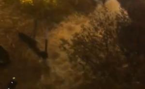 南京城區(qū)一主水管爆裂致江東門隧道淹水，河西等多區(qū)域停水