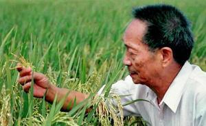 一顆稻谷的“中國(guó)貢獻(xiàn)”——袁隆平的追夢(mèng)路