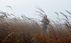 是什么讓這位攝影師堅(jiān)持守護(hù)清涼峰30年？