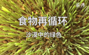 食物再循環(huán)︱沙漠中的綠色