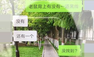 西安一醫(yī)專學(xué)生患出血熱死亡，校方：已放假，正檢測(cè)老鼠采樣