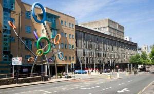 英國2歲男孩接受“最小風險”手術，醫(yī)生誤切去其一健康睪丸