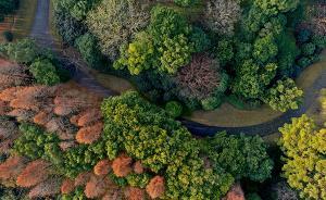 上海生態(tài)廊道已建成4.23萬畝，位于不同區(qū)域發(fā)揮不同功能