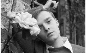 雙面卡波特：半途而廢的愛在紙醉金迷中浮沉