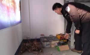 村民私設(shè)電網(wǎng)捕獵，電傷過路人被拘