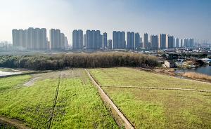 新華社聚焦農(nóng)村土地制度改革立法新期待