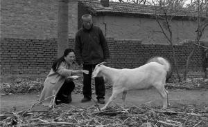 壓力與孤獨(dú)，扶貧鄉(xiāng)長(zhǎng)的一天