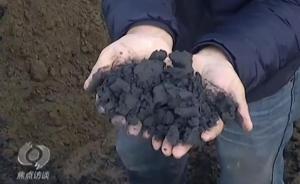 焦點訪談曝光泰州違法填埋危廢事件后，20名黨員干部被調(diào)查