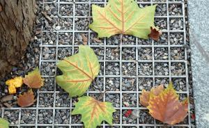 山東打出“穩(wěn)就業(yè)”政策組合拳：裁員超10%須職代會(huì)通過