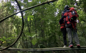 真人秀幕后的安全團隊，一般做些什么？