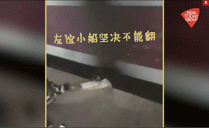 印度男子站臺(tái)跌落遇火車，伙伴緊抓30秒
