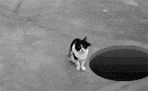 家長(zhǎng)上班午休代孩子寫(xiě)作文，作業(yè)App變成新的“負(fù)擔(dān)群”