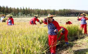 新農(nóng)村土地承包“三權分置”，保護進城農(nóng)民，保障婦女權益