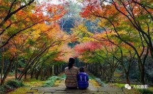 為什么這張簡(jiǎn)單的背影照片，能帶火福建一個(gè)景點(diǎn)？
