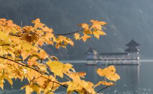 长江勘测设计研究院组织召开堰塞湖应急处置技术研讨会