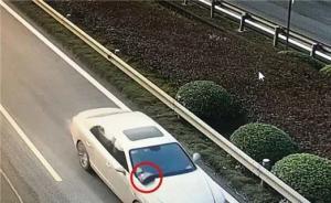 女子報案稱800萬的包“飛走”：包遺落車頭，開至隧道掉落