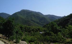 华北某乡村振兴调研手记：原来乡村和我想的大不一样