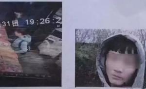 錘殺雙親的13歲少年：作文中虛構(gòu)母親工作以及和父親的感情