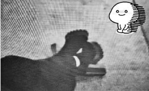 腳蹬15厘米高跟鞋邊走路邊看手機，女子摔出腦震蕩磕掉門牙