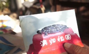 山東六旬老人粗茶淡飯，挖出昂貴寶石作成禮品捐給國家