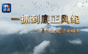 人民日報(bào)：秦嶺專題片畫面觸目驚心，須繃緊政治紀(jì)律這根弦