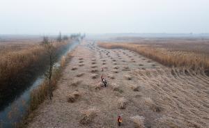 聆聽臘爾山 | 湃客年度視覺大賽