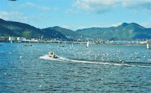 環(huán)境部：2018年滇池水質(zhì)明顯好轉(zhuǎn)，太湖巢湖洱海等無變化