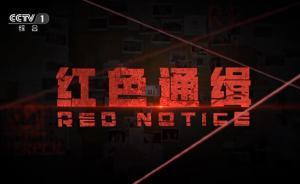 《紅色通緝》第五集《筑壩》