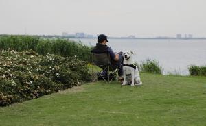 伙伴 | 湃客年度視覺大賽