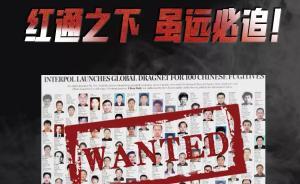 紅通之下56人從19國被追回，涉嫌貪污受賄犯罪比例最多