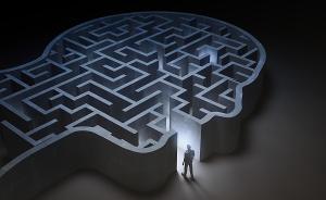 维果茨基革命的心理发展理论（上）：谁的心理学？