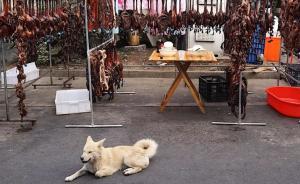 大馬弄，杭州最后的馬路菜場(chǎng)