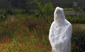 影集｜高墻內(nèi)的圖像權(quán)：環(huán)境故事肖像