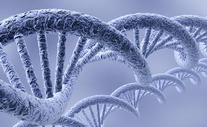 科技部回應(yīng)基因編輯嬰兒調(diào)查結(jié)果：全面暫停相關(guān)人員科技活動