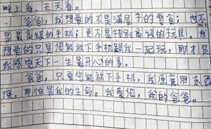 河南小學生滿分作文：爸爸，只要您能放下手機，我愿用生命換