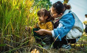 中國家庭︱教養(yǎng)方式的階層差異從何而來