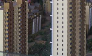 雄安新區(qū)：個人產(chǎn)權(quán)住房以共有產(chǎn)權(quán)房為主，嚴加防范炒地炒房