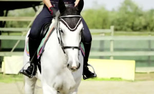 曾讓羅馬帝國覆滅的馬鐙，令歐洲文明煥然一新？