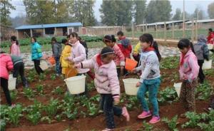 曲靖80后校長建120畝開心農(nóng)場，師生三餐全免費