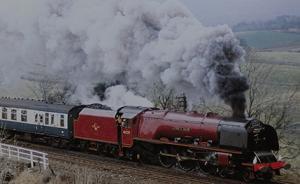 七十二家房客③｜排骨老公公和他的兒子們