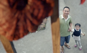 靈芝的古法采摘和現(xiàn)代養(yǎng)殖，在父子傳承間“握手言和”