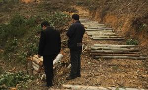 廣西7村民阻擾承包人砍伐桉樹被抓，一人刑拘期內死亡