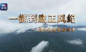 4分鐘速覽丨一抓到底正風(fēng)紀(jì)——秦嶺違建整治始末 