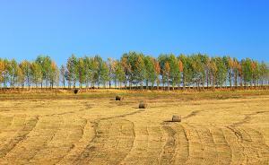 農(nóng)村土地承包法修訂的進步與缺陷