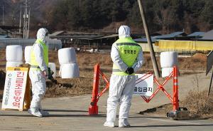 韓國(guó)現(xiàn)多起口蹄疫疫情，已在全國(guó)范圍內(nèi)給牛、豬等家畜打疫苗