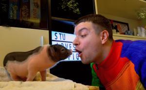 過豬年的最好方法：養(yǎng)一只豬豬