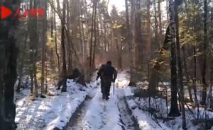 东北虎豹国家公园监测员：一年陪相机的时间比陪家人多