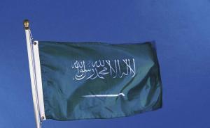 巩固“反贪风暴”成果，沙特新设机构监督政府支出