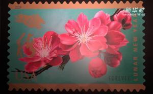 中國豬年郵票亮相美國舊金山市政廳