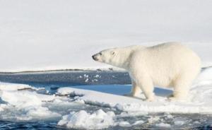 民调显示多国民众认为气候变迁是最大安全威胁